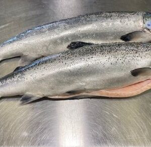 Whole Salmon Fish ~3-5kg - Pellet (1000kg = 1 ton)